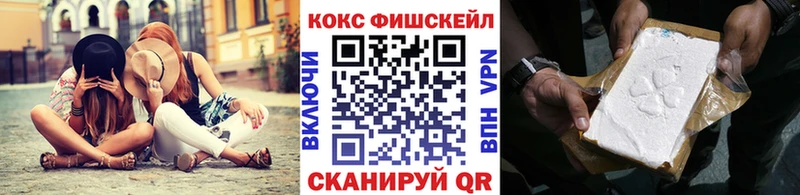 COCAIN 99%  Купить где  Инсар 