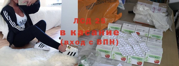 a pvp Аркадак