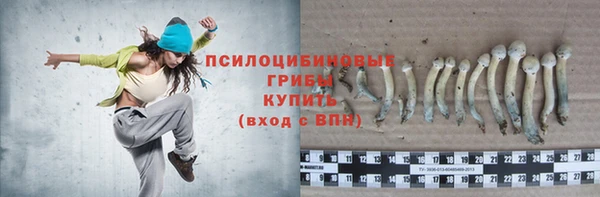 экстази Арсеньев