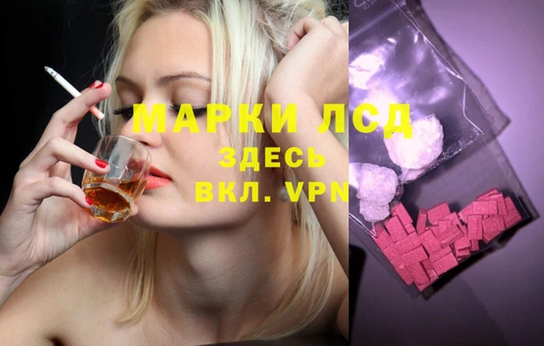 a pvp Аркадак