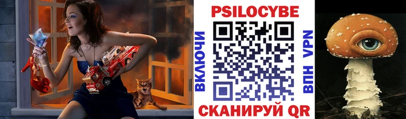 Псилоцибиновые грибы Psilocybine cubensis  Купить закладки  Инсар 